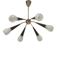 #805 Brass and Glass Chandelier